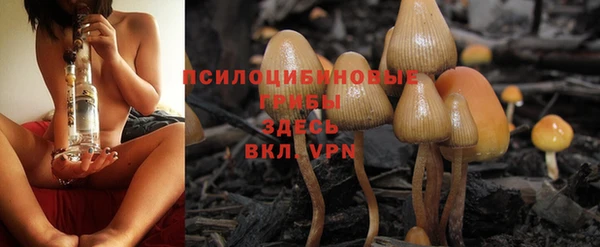 герыч Алзамай