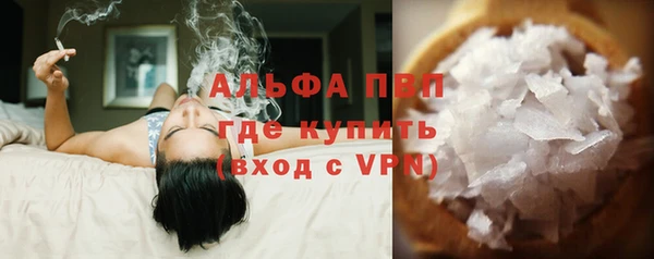 сатива Осинники