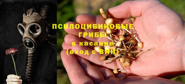 прущая мука Алексеевка